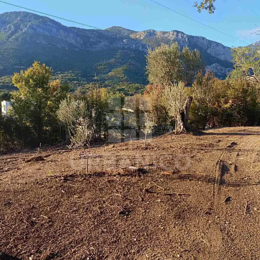 Prodaja, plac, 4800m², Bjeliši, Bar