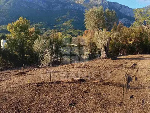 Prodaja, plac, 4800m², Bjeliši, Bar - image 4