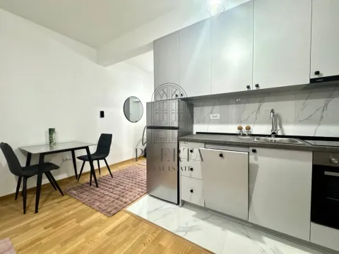 Izdavanje, garsonjera, 33m², Zabjelo, Podgorica - image 6