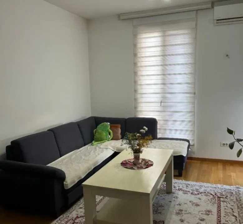 Stan-na-dan, jednosoban stan, 48m², Stari Aerodrom, Podgorica