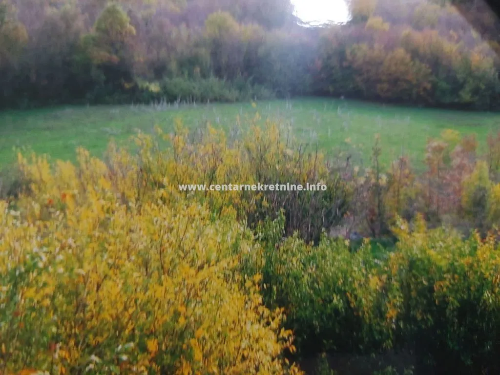 Prodaja, plac, 34826m², Bandići, Danilovgrad
