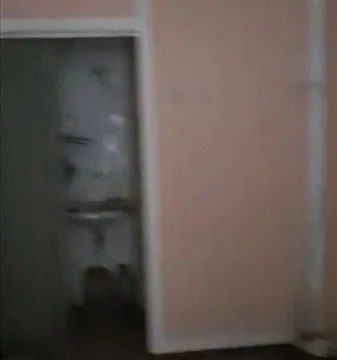 Prodaja, kuća, 300m², Smederevska Palanka, Srbija - image 3