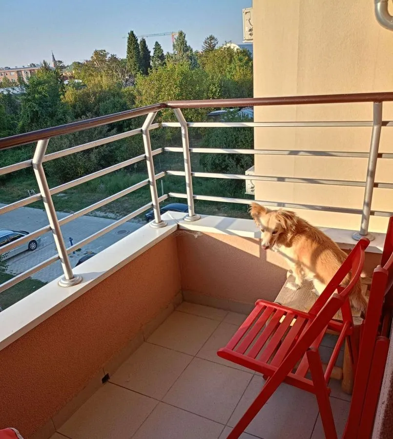 Prodaja, jednosoban stan, 33m², Telep, Novi Sad Sve Podlokacije