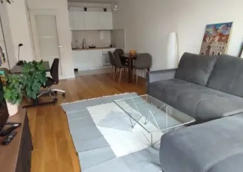 Izdavanje, jednosoban stan, 50m², Central Point, Podgorica - image 5