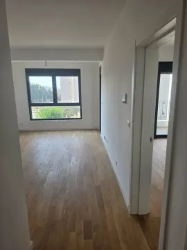 Prazna soba sa parketom i prozorom. - image 3