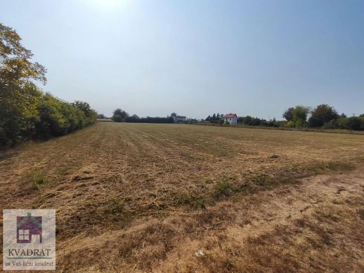 Prodaja, plac, 6448m², Skela, Obrenovac
