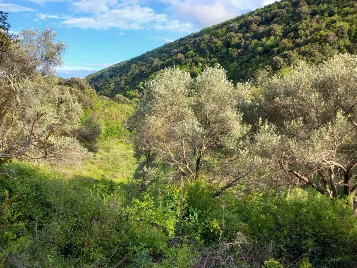 Prodaja, plac, 4000m², Kruče, Ulcinj