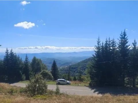 Prodaja, plac, 4200m², Raška, Srbija - image 15