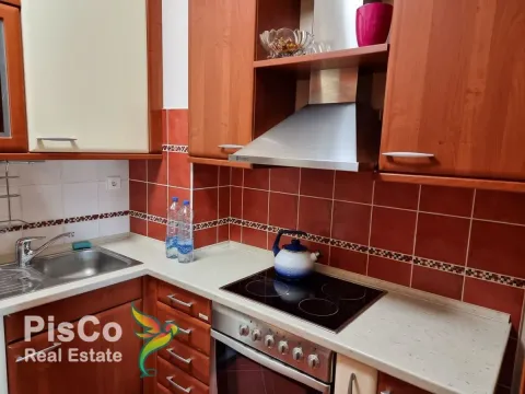 Izdavanje, jednosoban stan, 50m², Centar, Podgorica - image 2