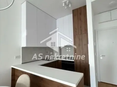 Izdavanje, dvosoban stan, 44m², Novi Beograd Blok 67, Novi Beograd Sve Podlokacije - image 6
