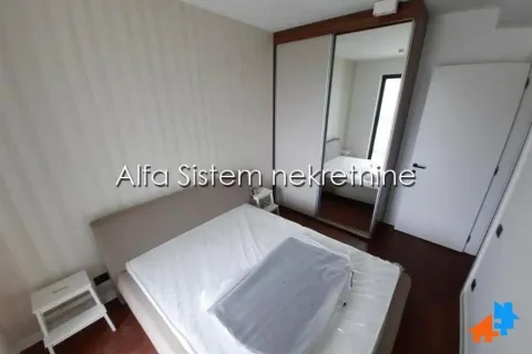 Izdavanje, dvosoban stan, 48m², Novi Beograd Blok 67, Novi Beograd Sve Podlokacije - image 9