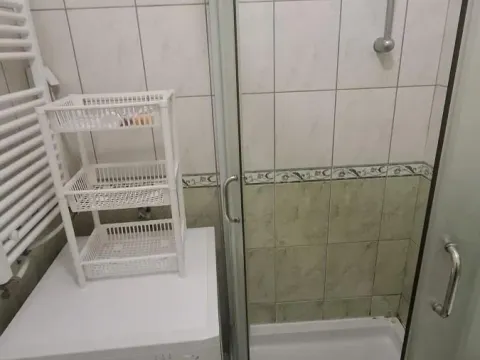Rent, two bedroom apartment, 48m², Adice, Novi Sad Sve Podlokacije - image 10