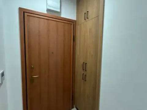 Izdavanje, jednosoban stan, 45m², Ljubović, Podgorica - image 4