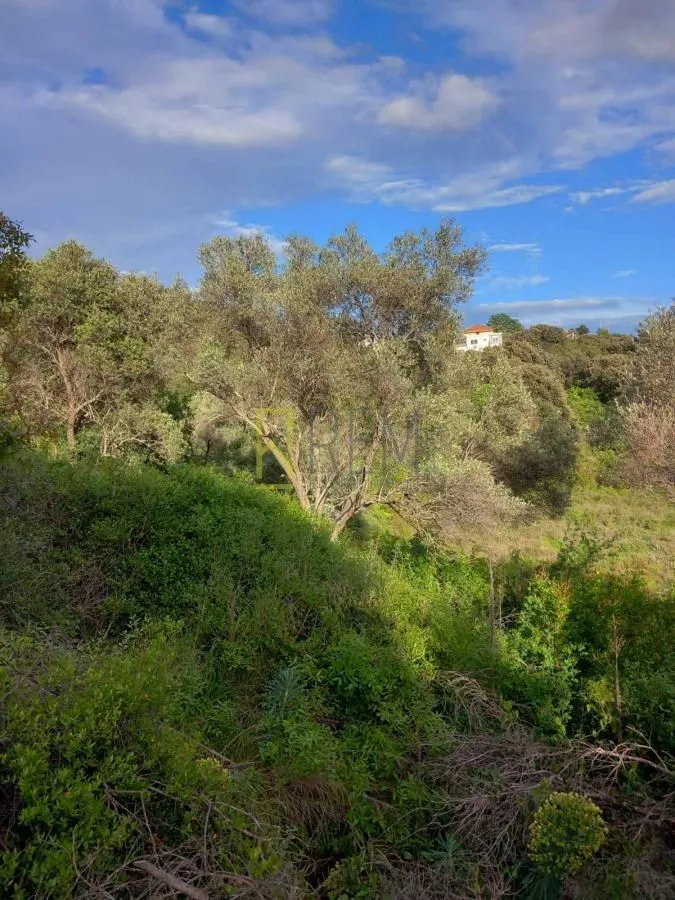 Prodaja, plac, 4000m², Kruče, Ulcinj