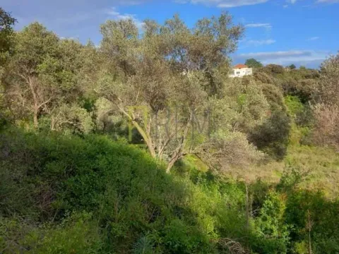 Prodaja, plac, 4000m², Kruče, Ulcinj - image 4