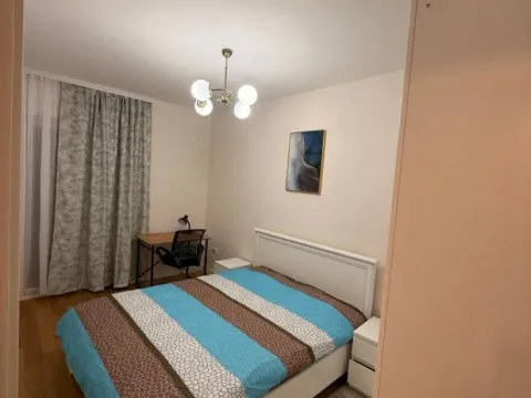 Izdavanje, jednosoban stan, 40m², Central Point, Podgorica - image 7