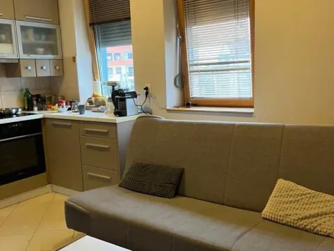 Izdavanje, jednosoban stan, 38m², Grbavica, Novi Sad Sve Podlokacije - image 8