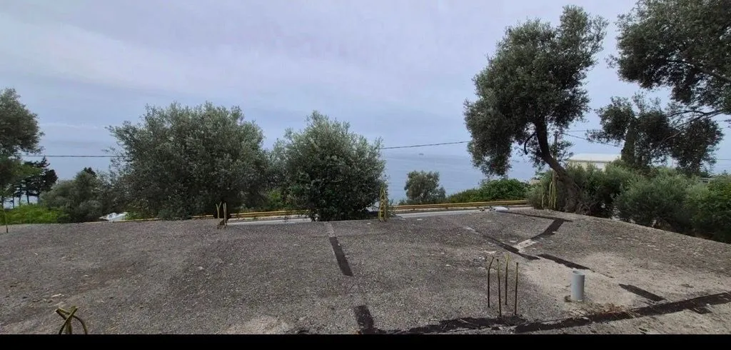 Pogled na plac i more sa zelenilom u okruženju.