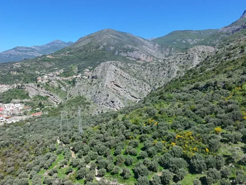 Prodaja, plac, 10500m², Stari Bar, Bar - image 2