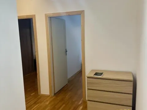 Izdavanje, trosoban stan, 65m², Južni Bulevar, Vračar Sve Podlokacije - image 12
