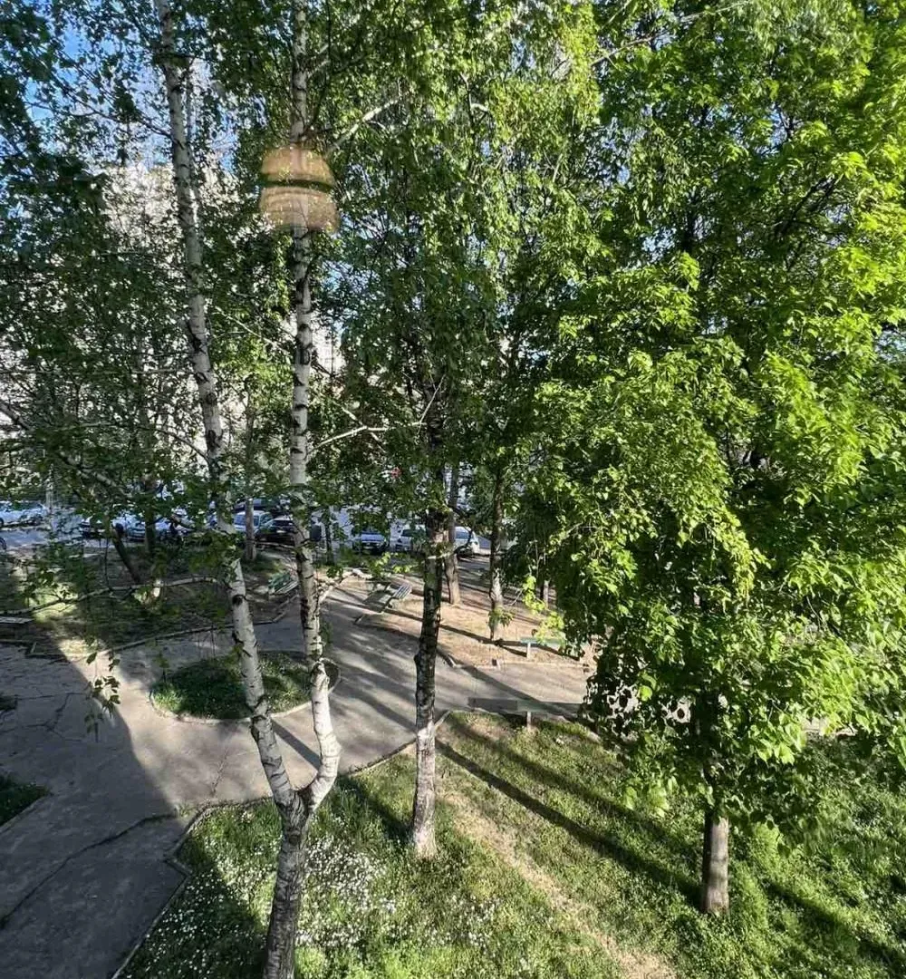 Sale, three bedroom apartment, 70m², Brace Jerković, Voždovac Sve Podlokacije