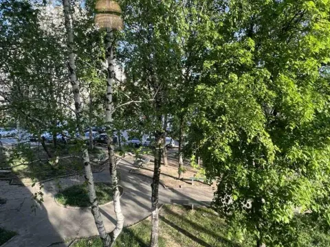 Sale, three bedroom apartment, 70m², Brace Jerković, Voždovac Sve Podlokacije - image 10