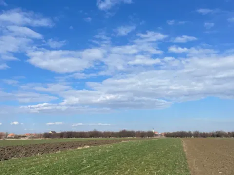 Prodaja, zemljište, 63m2, Krnješevci, Stara Pazova Prodaja, zemljište, 63m2, Krnješevci, Stara Pazova