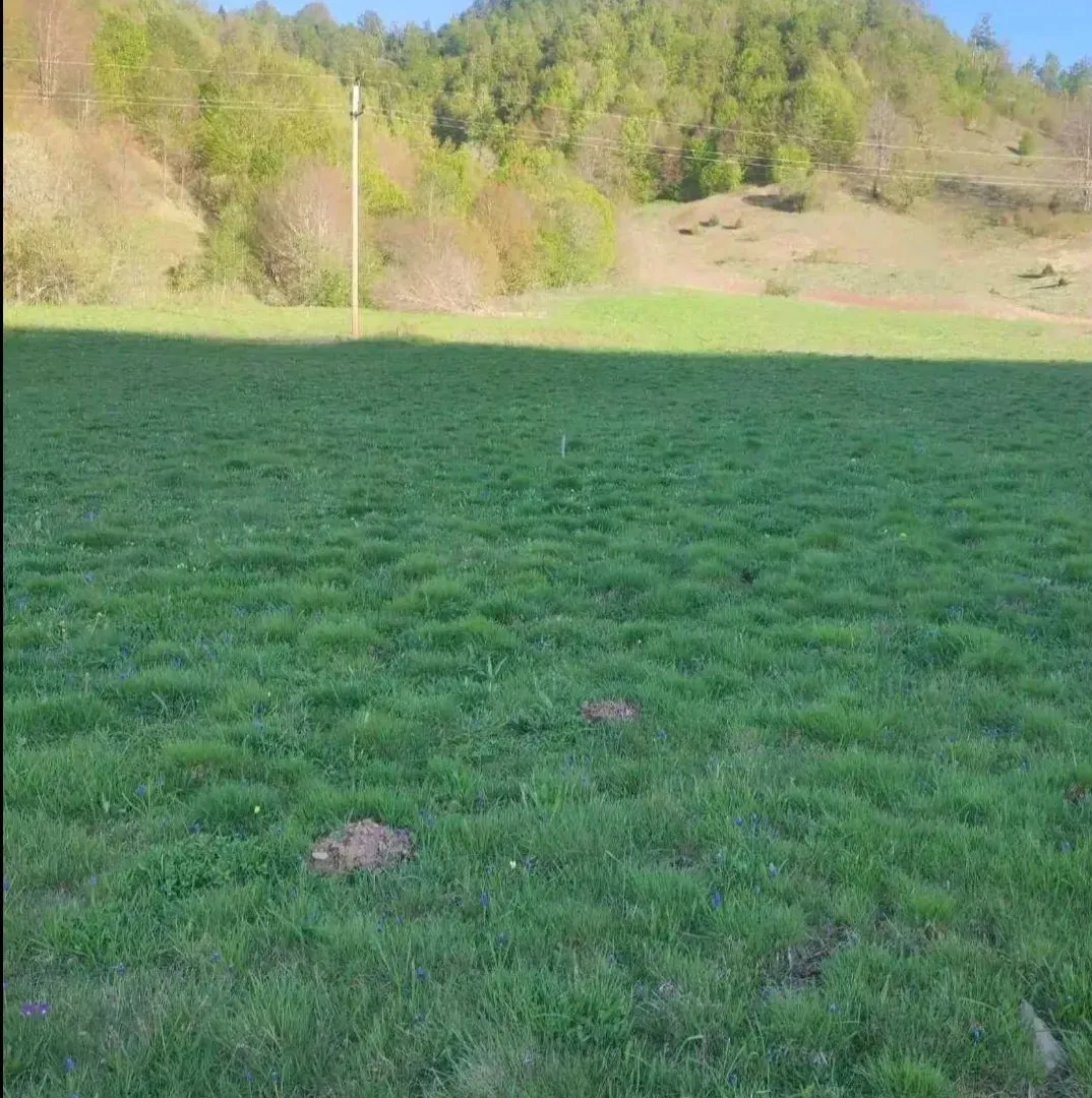 Prodaja, plac, 7000m², Veruša, Podgorica