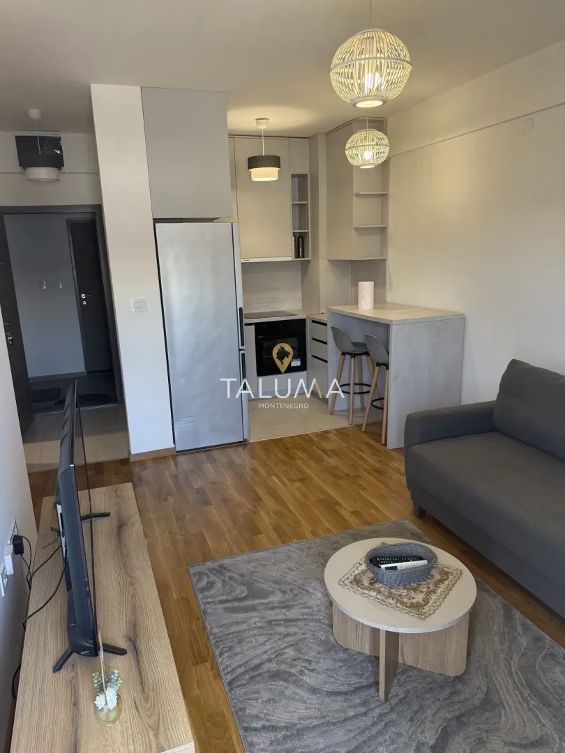 Rent, one bedroom apartment, 35m², Zabjelo, Podgorica