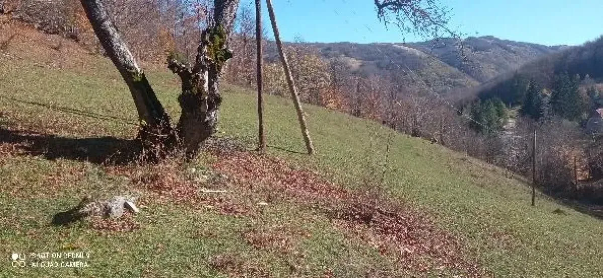 Prodaja, plac, 99100m², Donja Bukovica, Šavnik