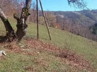 Sale, land lot, 99100m², Donja Bukovica, Šavnik - image 3