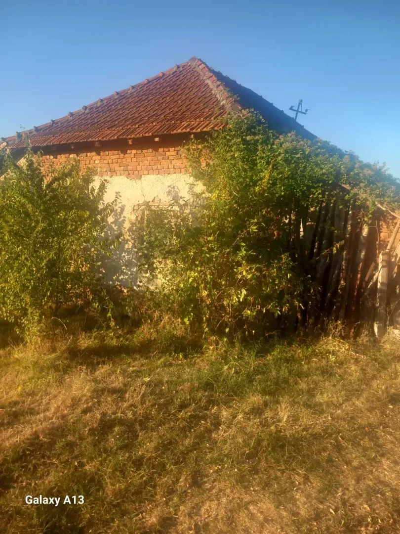 Pogled na staru kuću sa travnjakom i rastinjem u dvorištu.