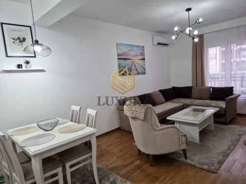 Rent, one bedroom apartment, 45m², Zabjelo, Podgorica - image 2
