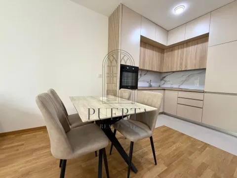 Izdavanje, jednosoban stan, 46m², Stari Aerodrom, Podgorica - image 6