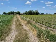 Prodaja, ugostiteljski objekat, 491m², Čenej, Novi Sad Sve Podlokacije - image 5