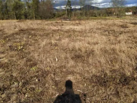 Sale, land lot, 5500m², Čačak, Srbija - image 5