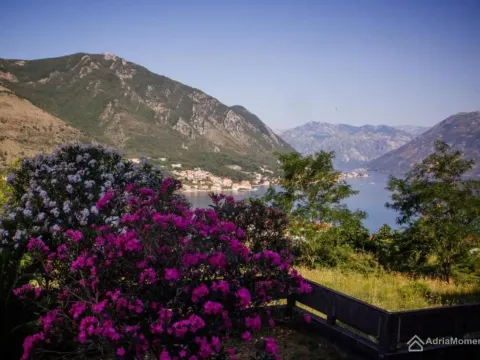 Prodaja, jednosoban stan, 47m², Dobrota, Kotor - image 7