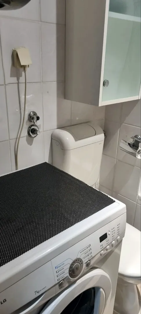 Kupatilo sa veš mašinom, WC šoljom i zidnim elementom.