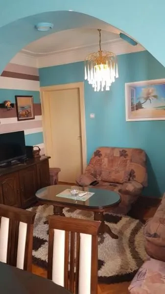 Izdavanje, dvosoban stan, 50m², Centar, Niš