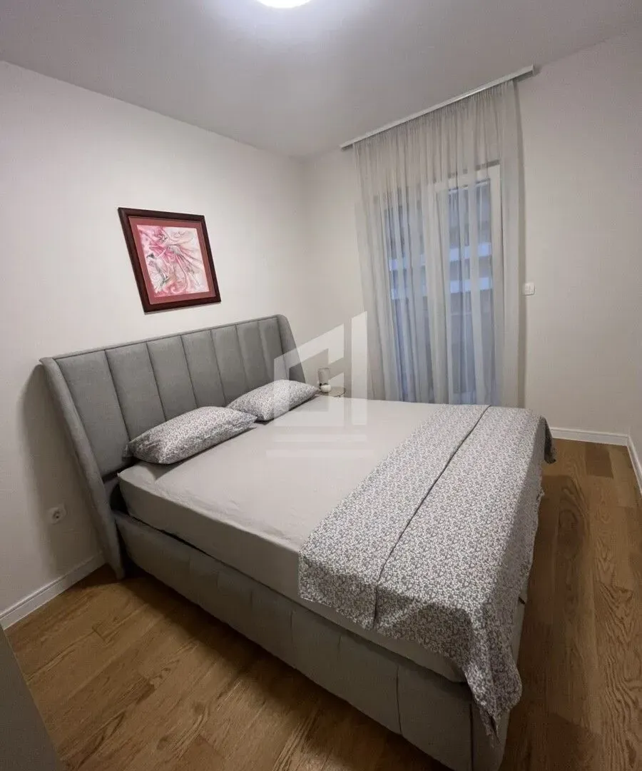 Rent, one bedroom apartment, 48m², Central Point, Podgorica