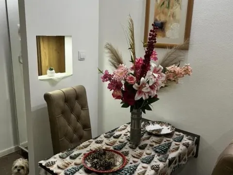 Prodaja, dvosoban stan, 40m², Novo naselje, Novi Sad - image 10