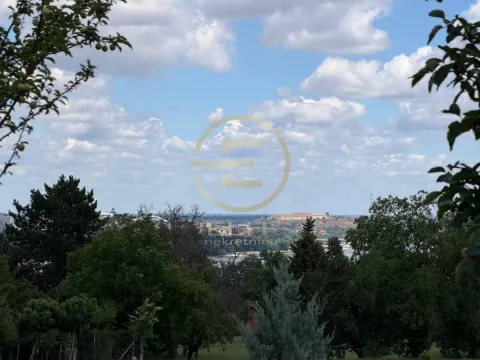 Prodaja, plac, 550m², Bocke, Petrovaradin - image 5