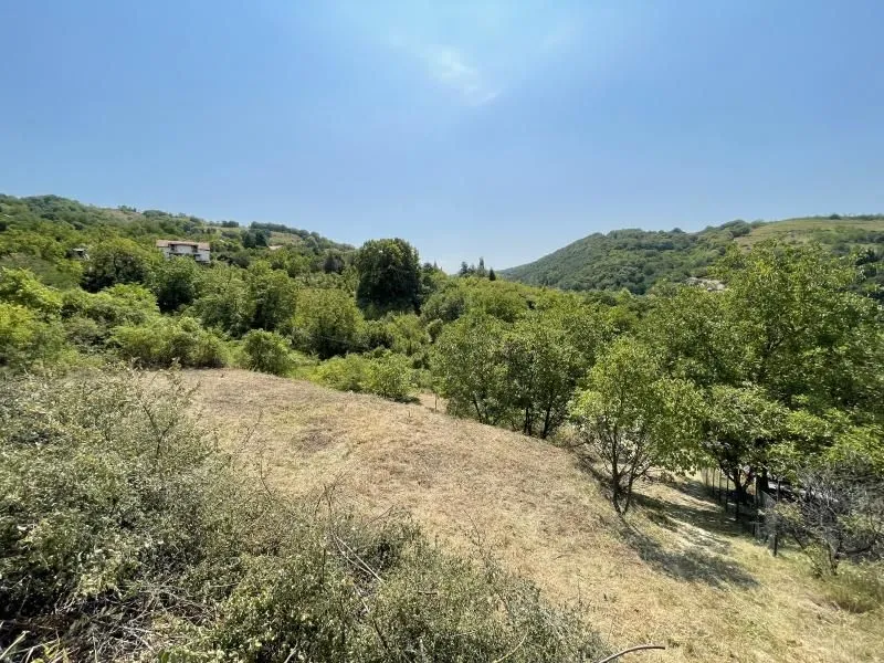 Prodaja, plac, 1500m², Rakovac, Novi Sad Sve Podlokacije