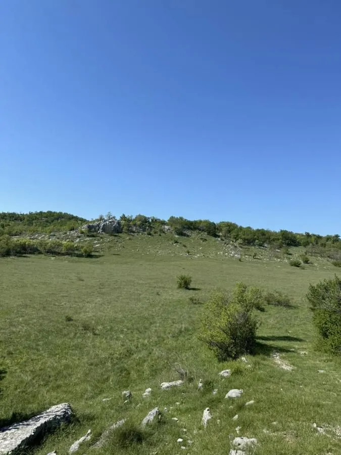Prodaja, plac, 33000m², Radovče, Podgorica