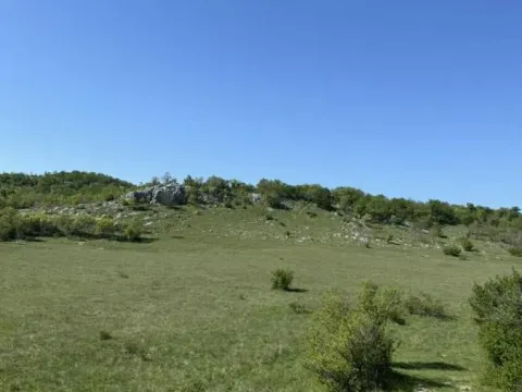 Prodaja, plac, 33000m², Radovče, Podgorica - image 5