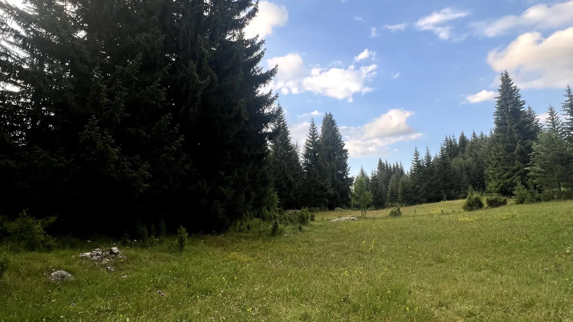 Prodaja, plac, 1550m², Podgora, Žabljak