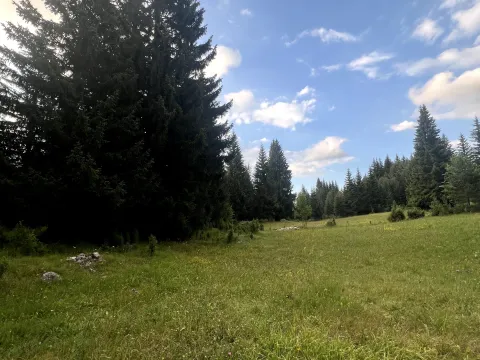 Prodaja, plac, 1550m², Podgora, Žabljak - image 1