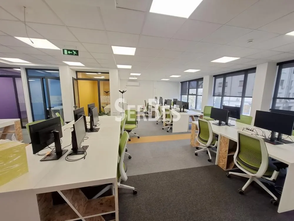 Rent, office space, 204m², Novi Sad Sve Podlokacije, Novi Sad