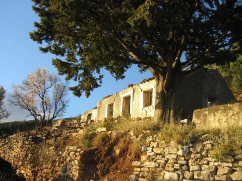 Prodaja, plac, 9500m², Budva, Crna Gora - image 4