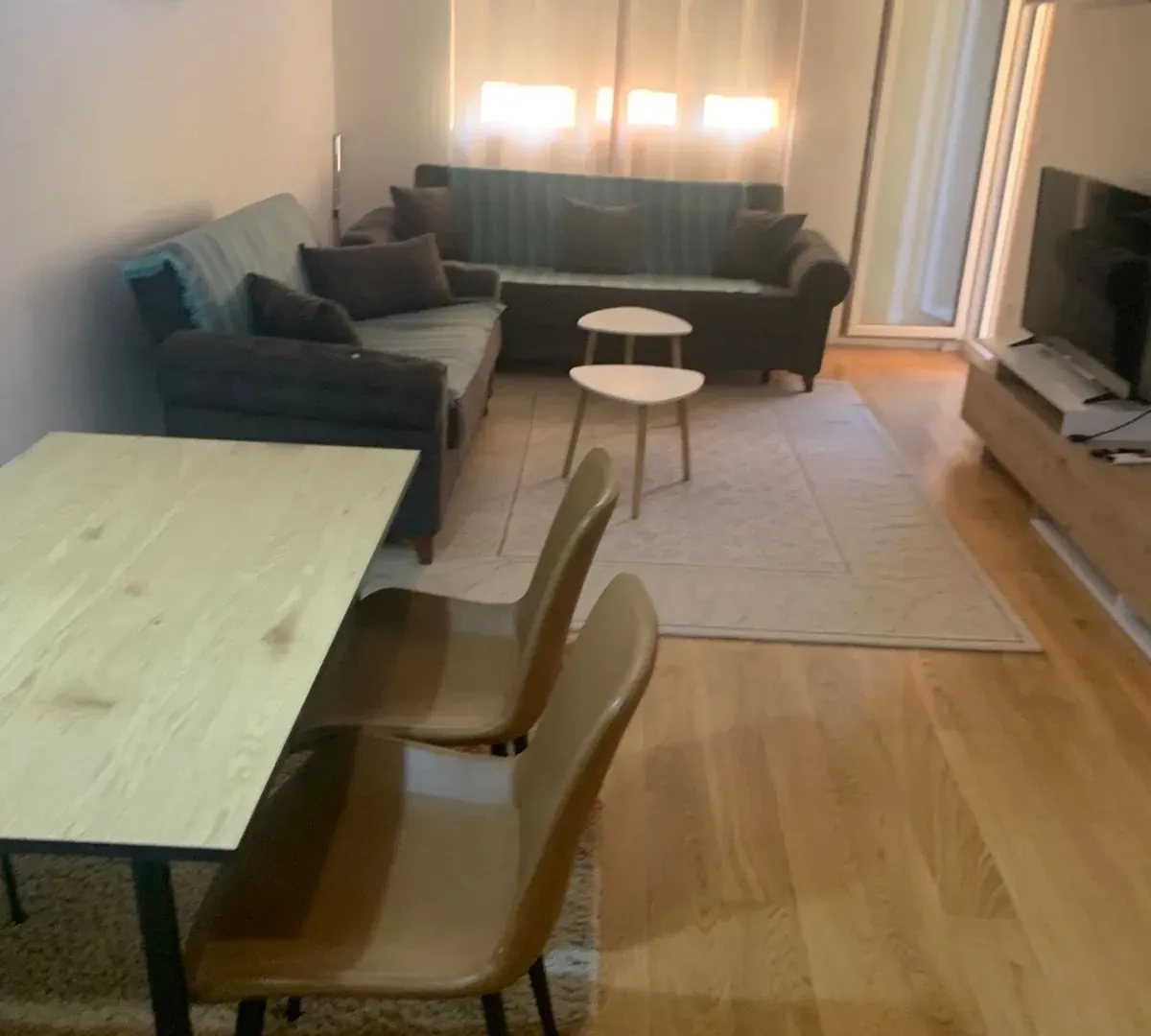 Izdavanje, jednosoban stan, 49m², Central Point, Podgorica